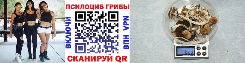 Галлюциногенные грибы Psilocybine cubensis  наркота  Лесной 