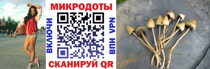 Галлюциногенные грибы ЛСД Лесной